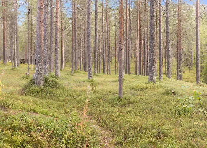 Ruskatupa 2 By Interhome *